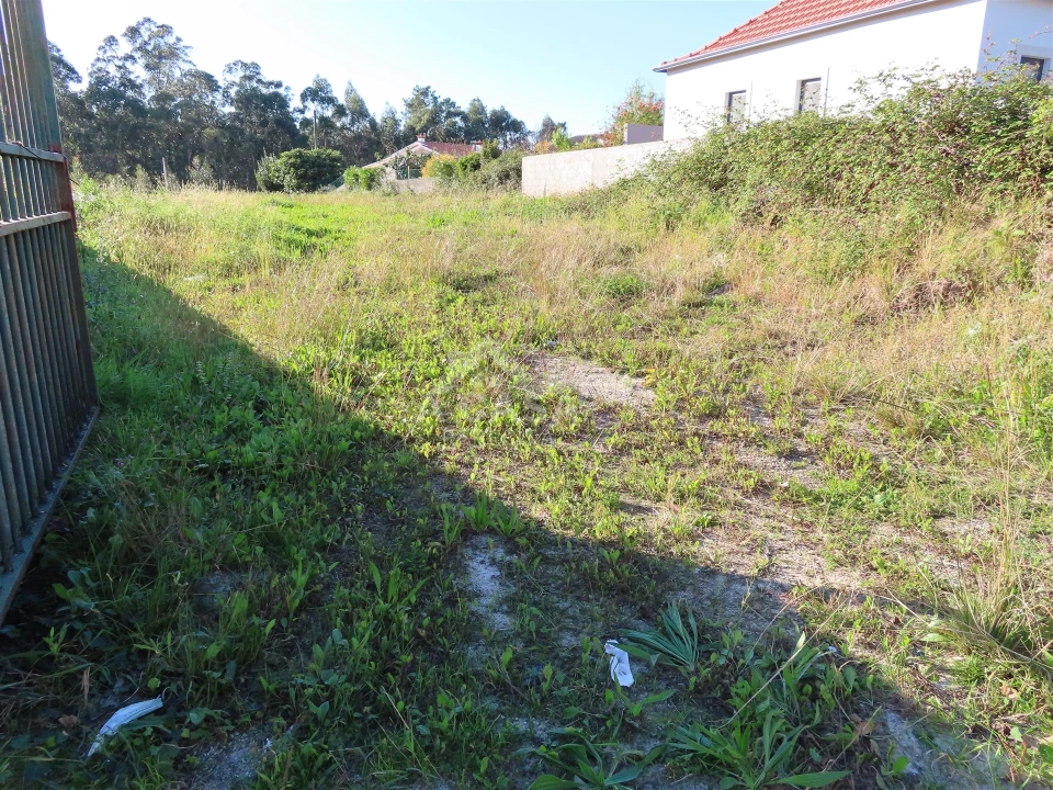 Terreno para Venda em São Miguel do Souto e Mosteirô Foto 3