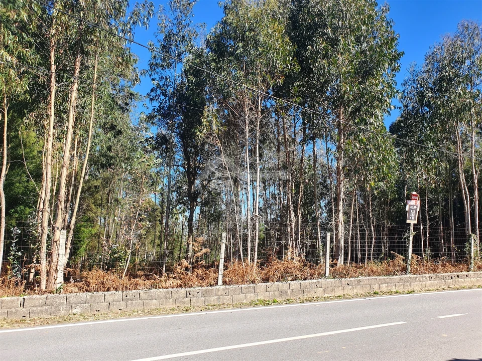 Terreno Agricola ou Rústico para Venda em São Miguel do Souto e Mosteirô Foto 6