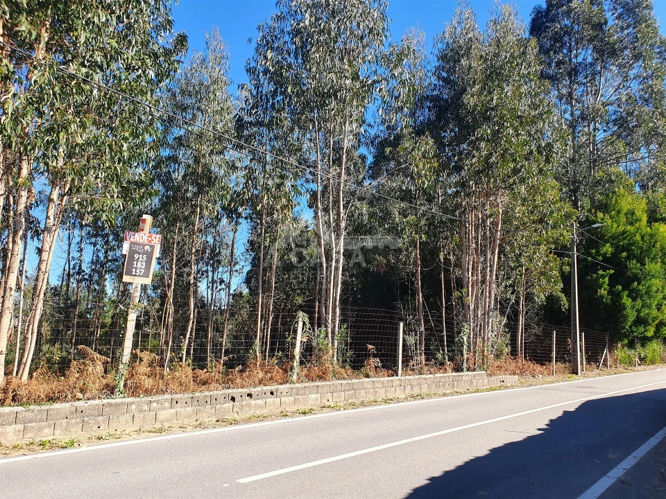 Terreno Agricola ou Rústico para Venda em São Miguel do Souto e Mosteirô Foto 7