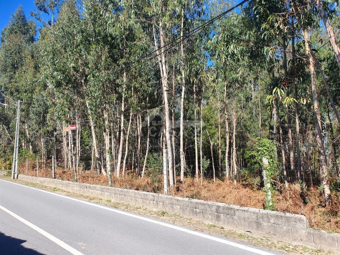 Terreno Agricola ou Rústico para Venda em São Miguel do Souto e Mosteirô Foto 8