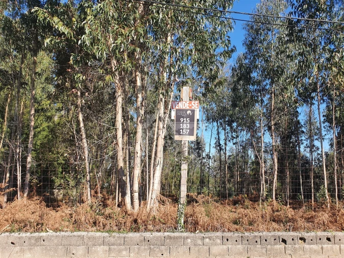 Terreno Agricola ou Rústico para Venda em São Miguel do Souto e Mosteirô