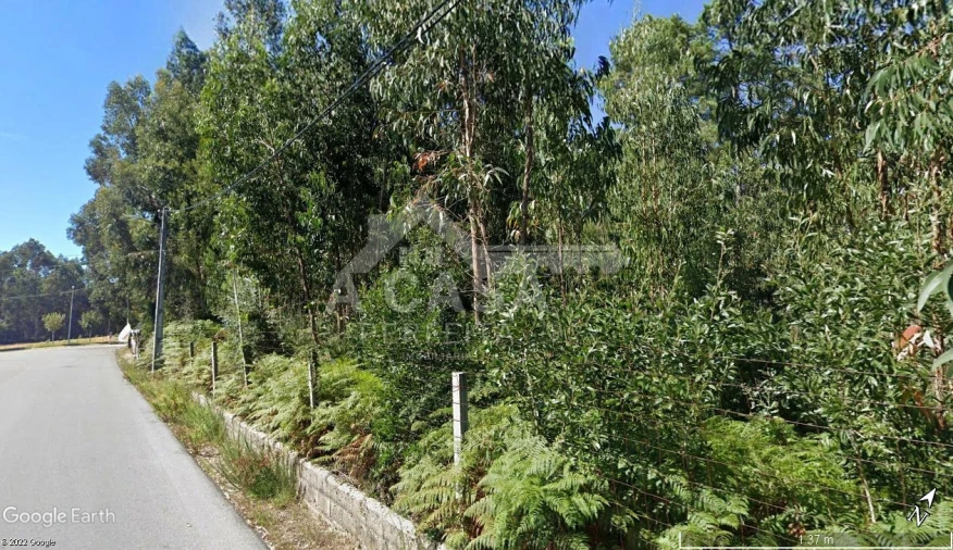 Terreno Agricola ou Rústico para Venda em São Miguel do Souto e Mosteirô Foto 3