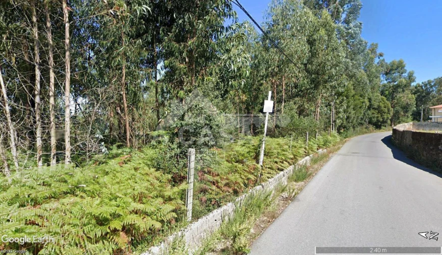 Terreno Agricola ou Rústico para Venda em São Miguel do Souto e Mosteirô Foto 2