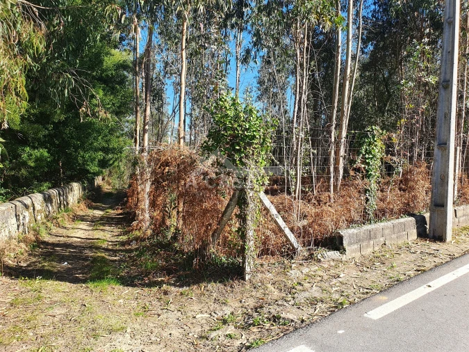 Terreno Agricola ou Rústico para Venda em São Miguel do Souto e Mosteirô Foto 14