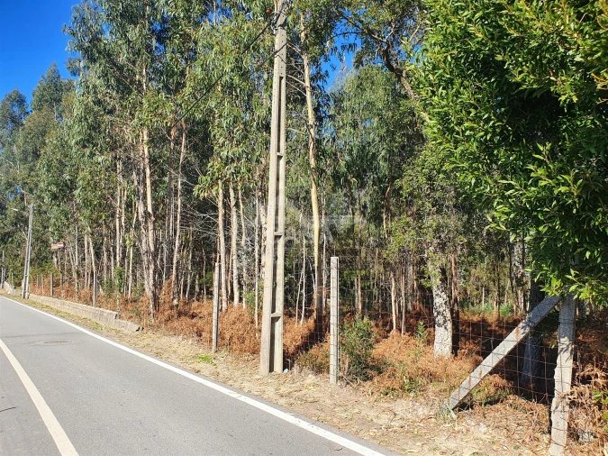 Terreno Agricola ou Rústico para Venda em São Miguel do Souto e Mosteirô Foto 9