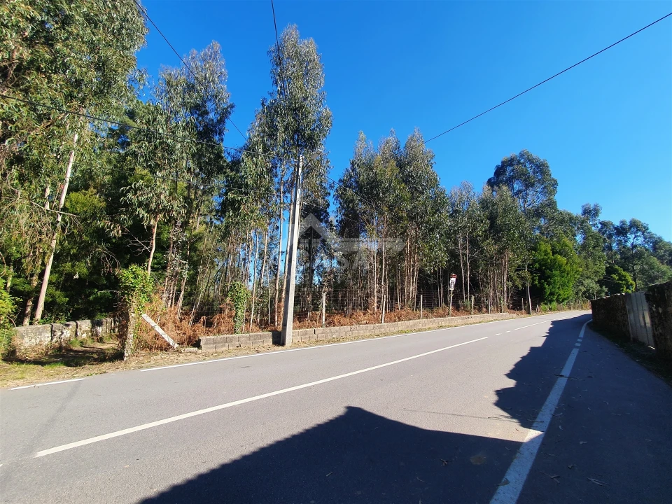 Terreno Agricola ou Rústico para Venda em São Miguel do Souto e Mosteirô Foto 5