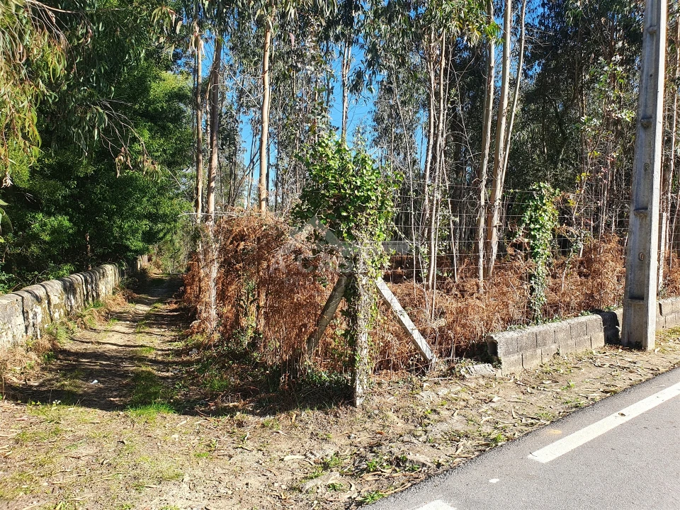 Terreno Agricola ou Rústico para Venda em São Miguel do Souto e Mosteirô Foto 14
