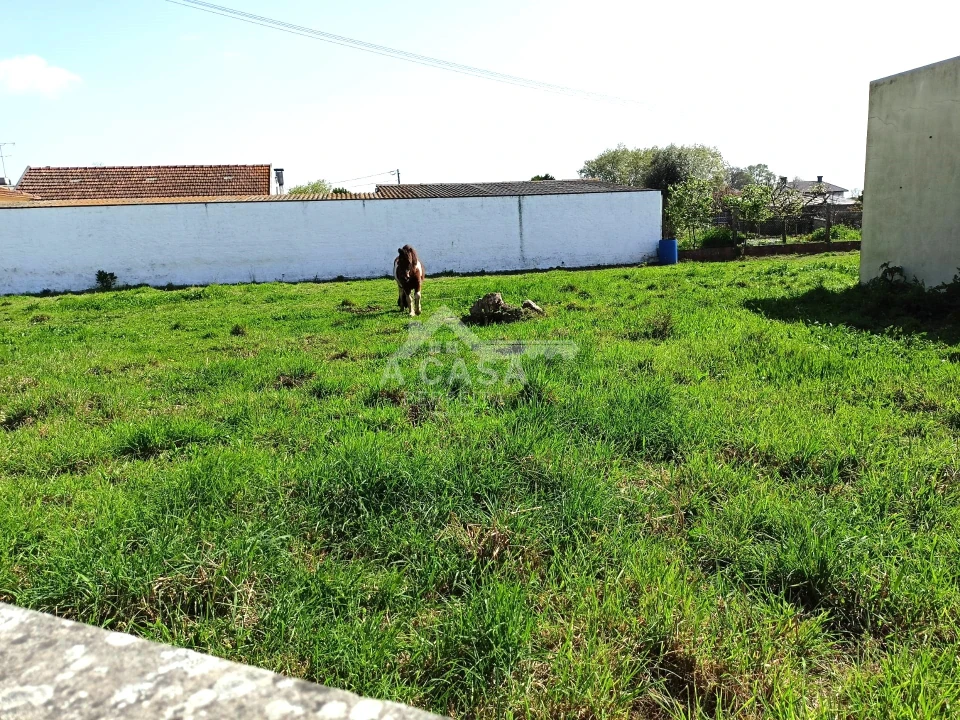 Terreno para Venda em Pardilho Foto 4