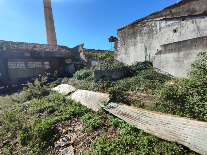 Negócio para Venda em O. Azeméis, Riba-Ul, Ul, Macinhata Seixa, Madail Foto 15