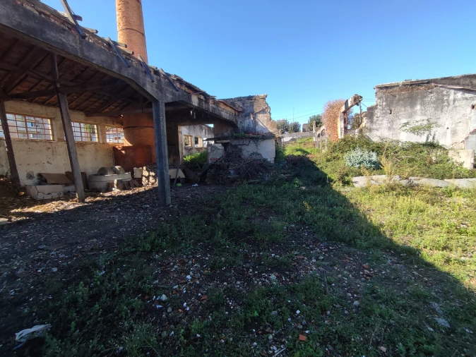 Negócio para Venda em O. Azeméis, Riba-Ul, Ul, Macinhata Seixa, Madail Foto 19