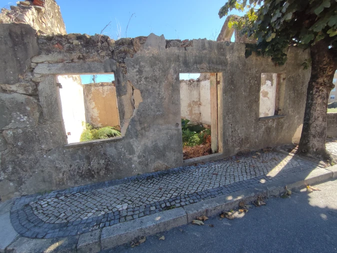 Negócio para Venda em O. Azeméis, Riba-Ul, Ul, Macinhata Seixa, Madail Foto 2