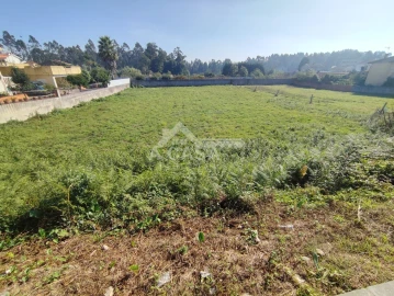 Terreno para Venda em Nogueira da Regedoura