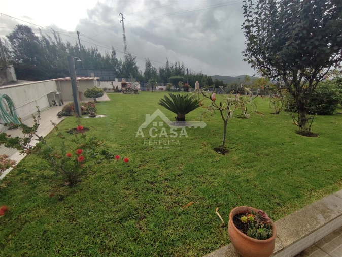 Armazém para Venda em O. Azeméis, Riba-Ul, Ul, Macinhata Seixa, Madail Foto 2