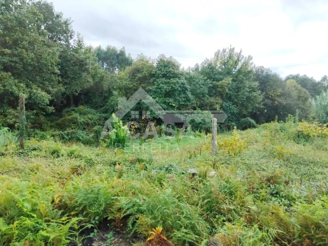 Quinta T0 para Venda em Arrifana Foto 4