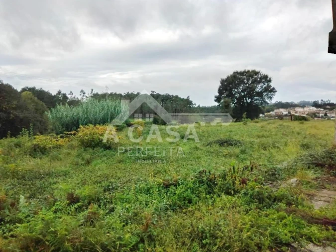 Quinta T0 para Venda em Arrifana Foto 3