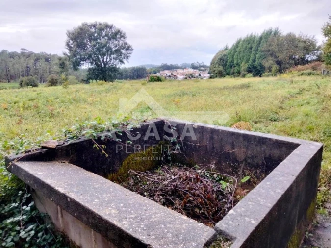 Quinta T0 para Venda em Arrifana Foto 5