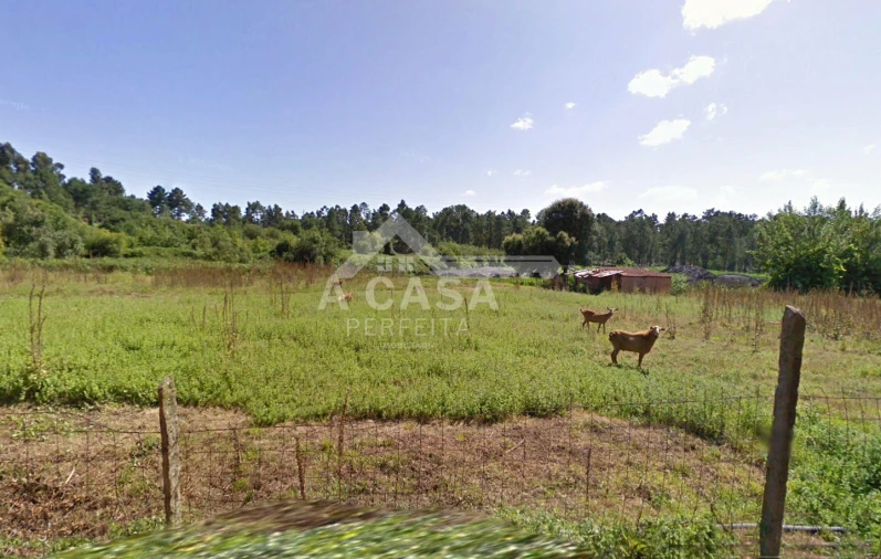 Quinta T0 para Venda em Arrifana Foto 11