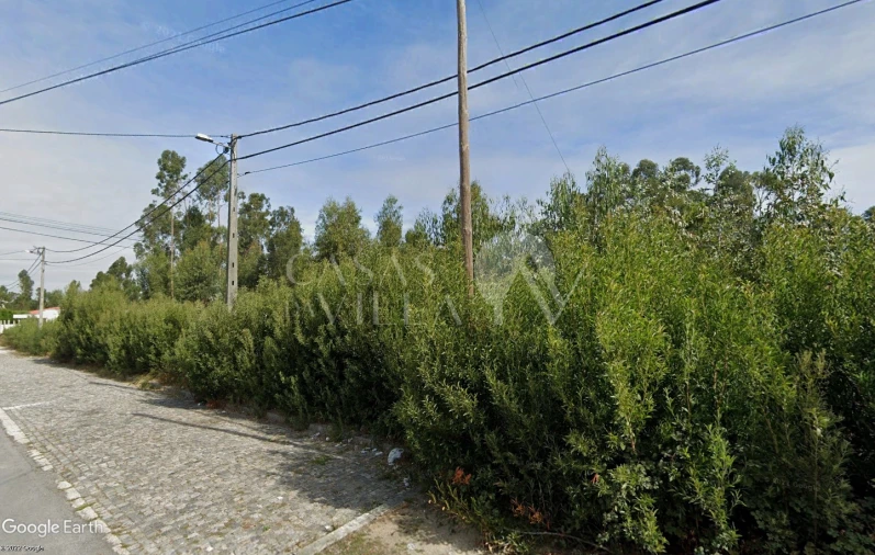 Terreno para Venda em Fiães Foto 3