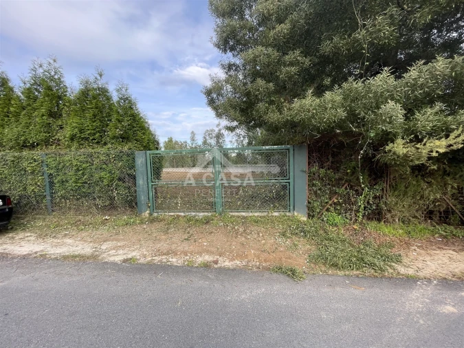 Terreno para Venda em Fiães Foto 3