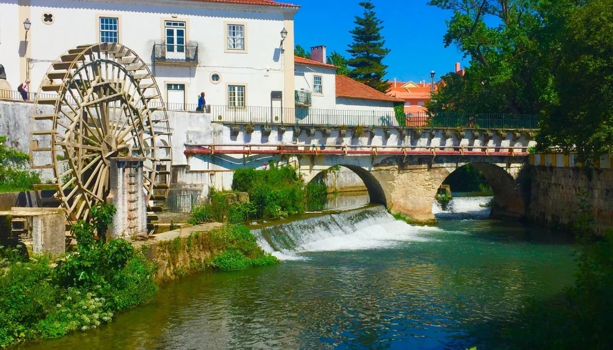 Terreno Agricola ou Rústico para Venda em Olaia e Paço Foto 9