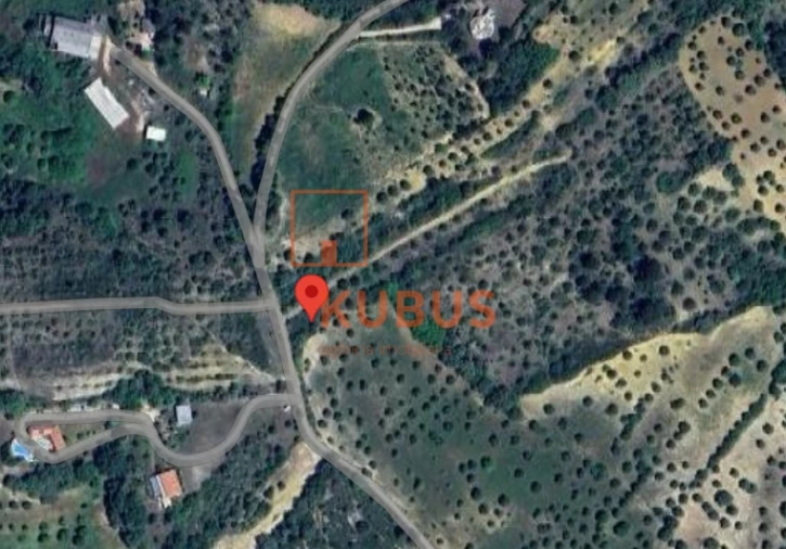 Terreno Agricola ou Rústico para Venda em Olaia e Paço Foto 7