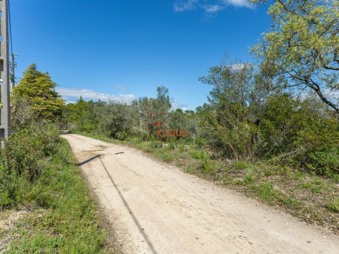 Terreno Agricola ou Rústico para Venda em Olaia e Paço Foto 5