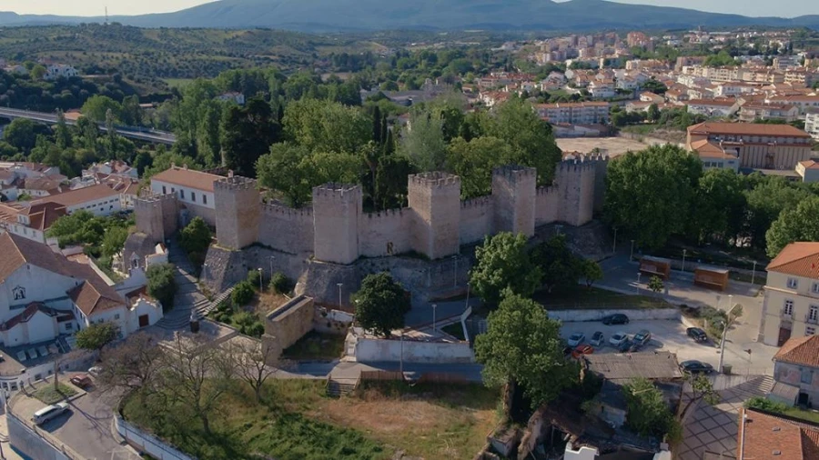 Terreno Agricola ou Rústico para Venda em Olaia e Paço Foto 8