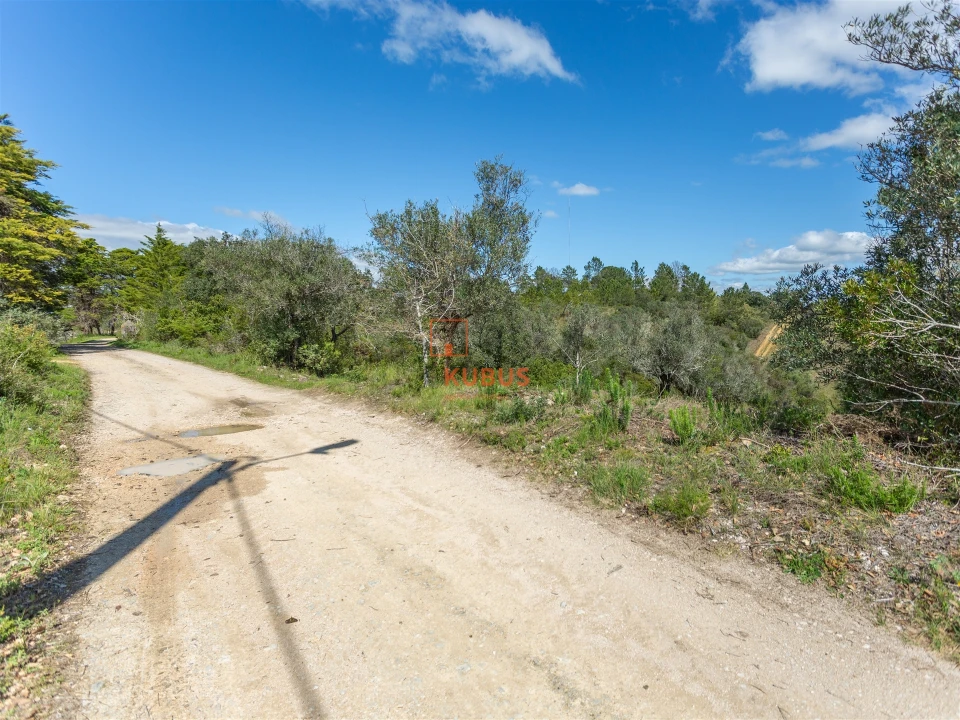 Terreno Agricola ou Rústico para Venda em Olaia e Paço Foto 2