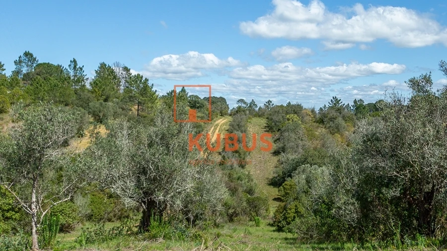 Terreno Agricola ou Rústico para Venda em Olaia e Paço