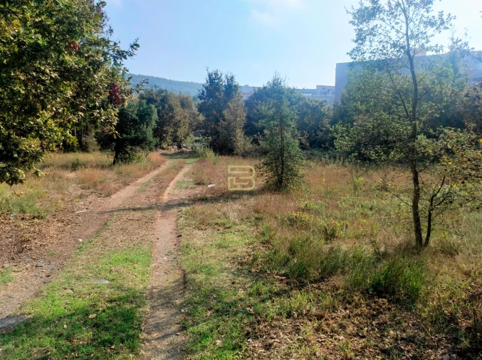 Terreno Agricola ou Rústico para Venda em Valongo Foto 2