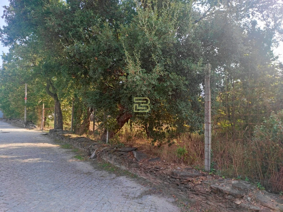 Terreno Agricola ou Rústico para Venda em Valongo Foto 6
