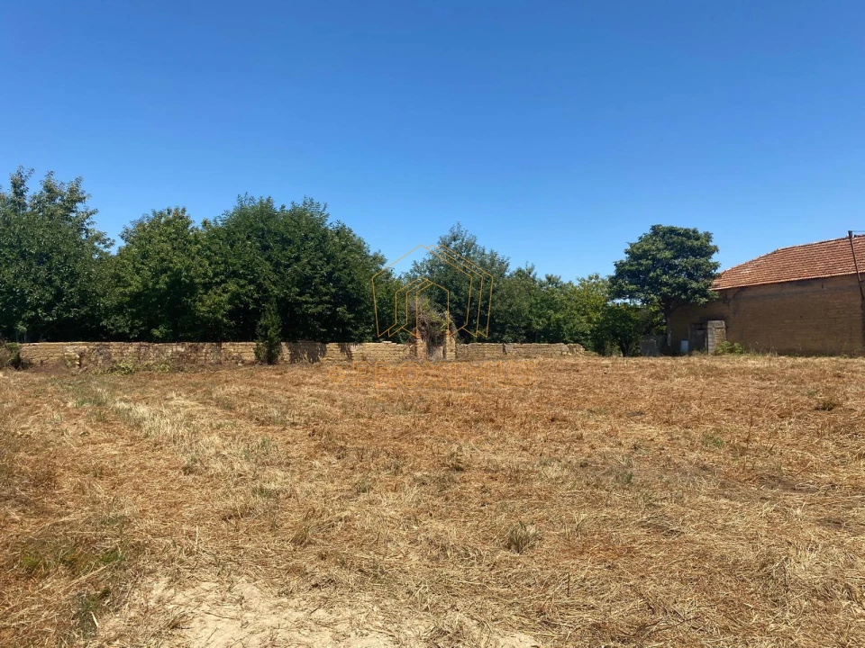 Terreno para Venda em Amoreira da Gândara, Paredes do Bairro e Ancas Foto 6