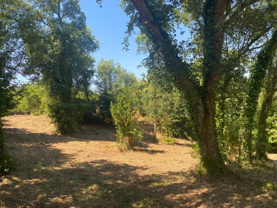Terreno para Venda em Amoreira da Gândara, Paredes do Bairro e Ancas Foto 17