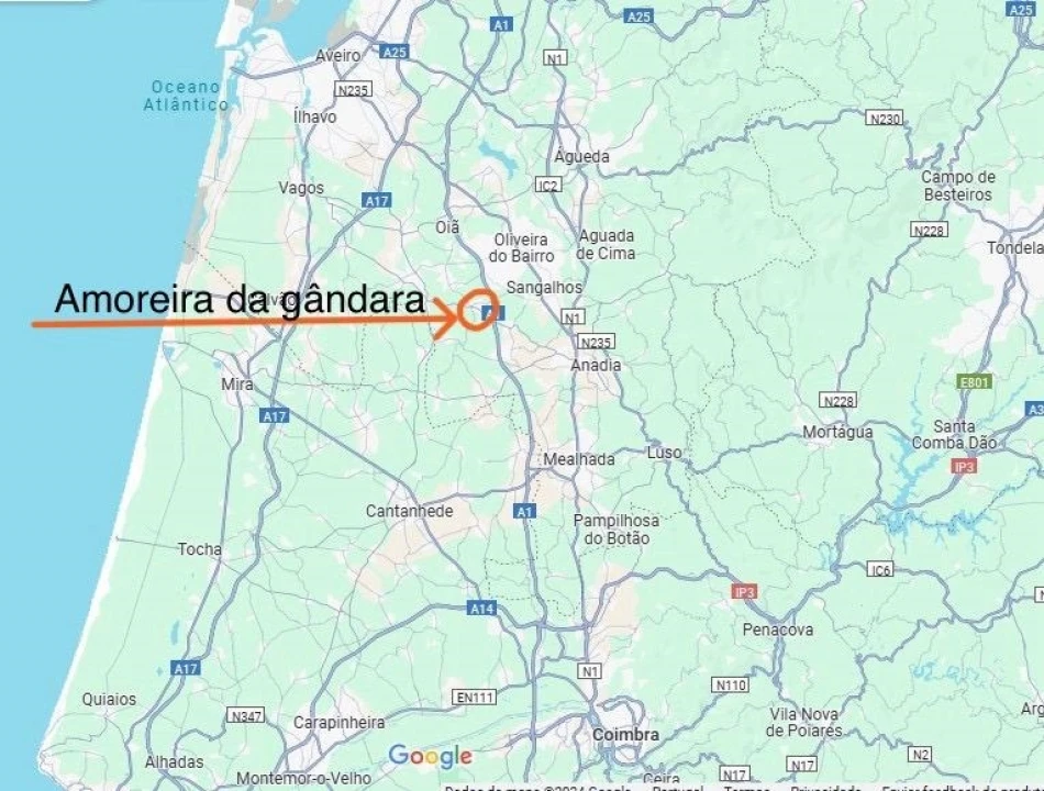 Terreno para Venda em Amoreira da Gândara, Paredes do Bairro e Ancas Foto 21