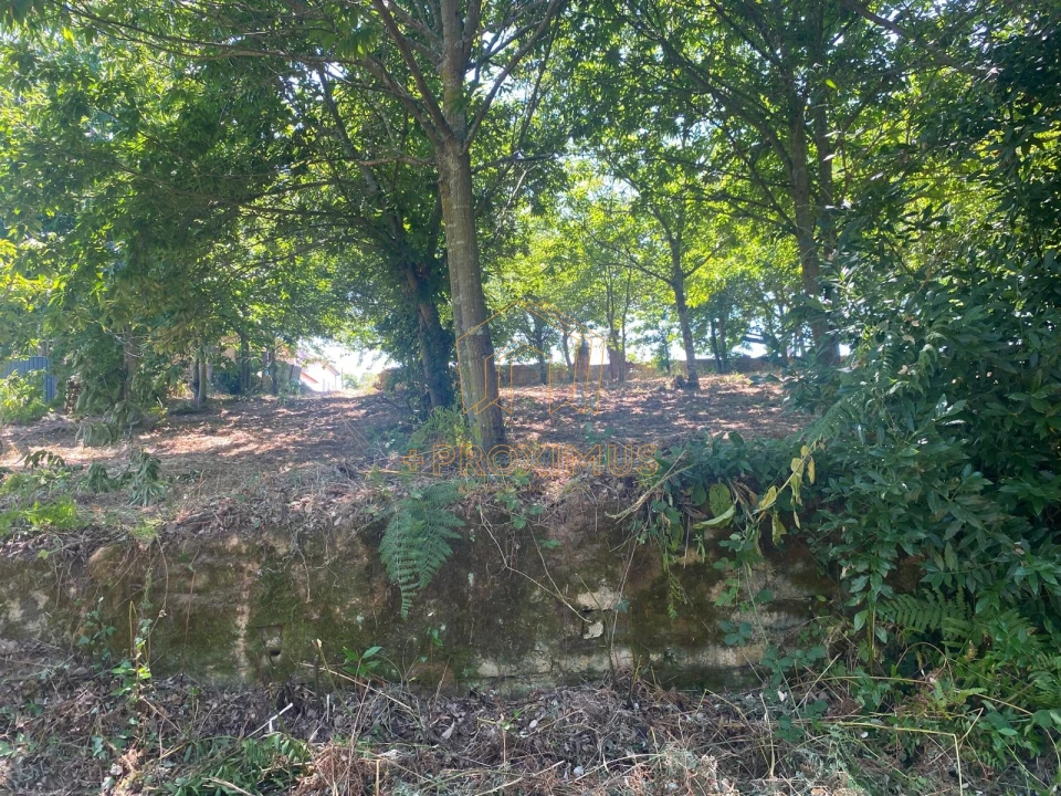 Terreno para Venda em Amoreira da Gândara, Paredes do Bairro e Ancas Foto 15