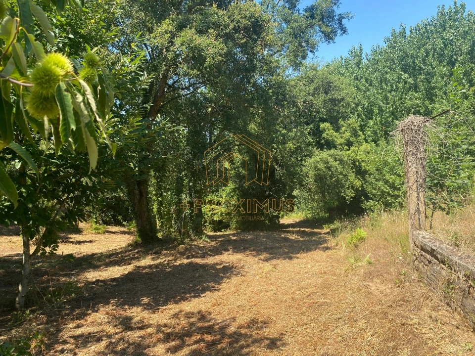 Terreno para Venda em Amoreira da Gândara, Paredes do Bairro e Ancas Foto 16