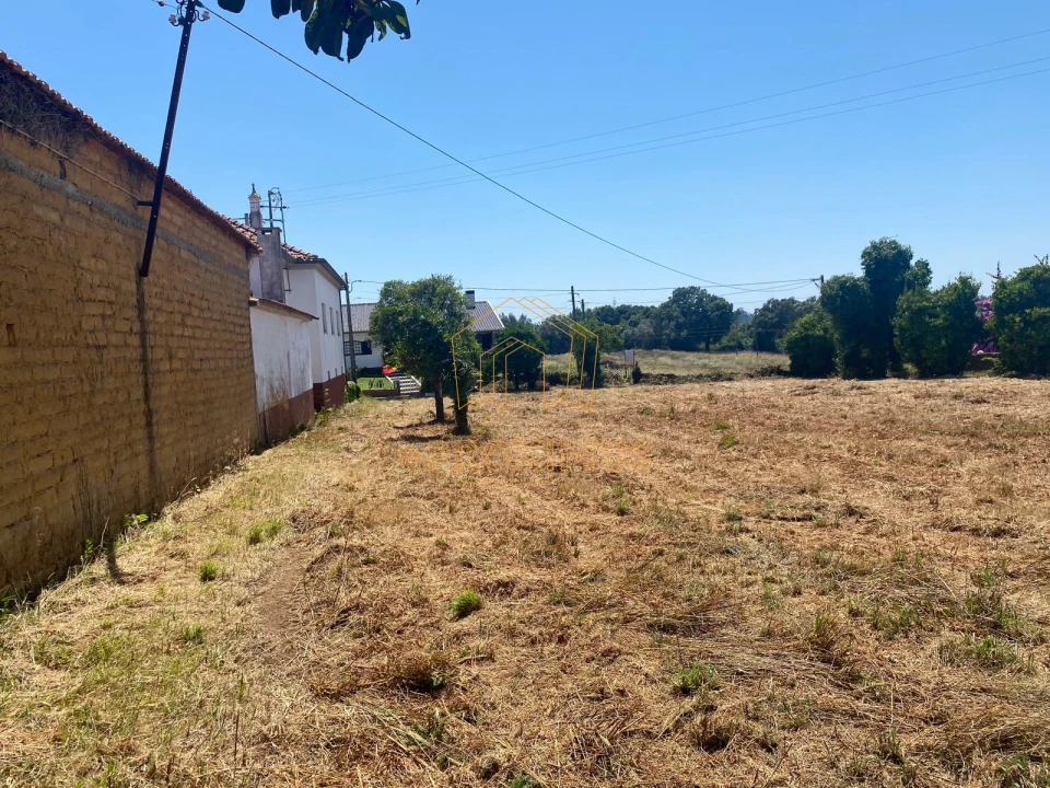 Terreno para Venda em Amoreira da Gândara, Paredes do Bairro e Ancas Foto 7