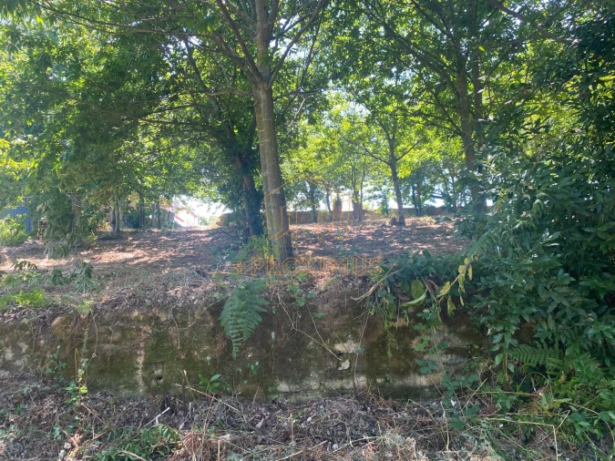 Terreno para Venda em Amoreira da Gândara, Paredes do Bairro e Ancas Foto 15