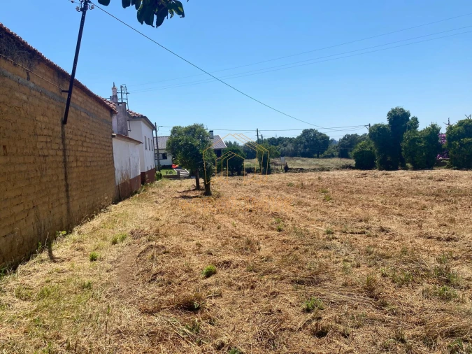 Terreno para Venda em Amoreira da Gândara, Paredes do Bairro e Ancas Foto 7