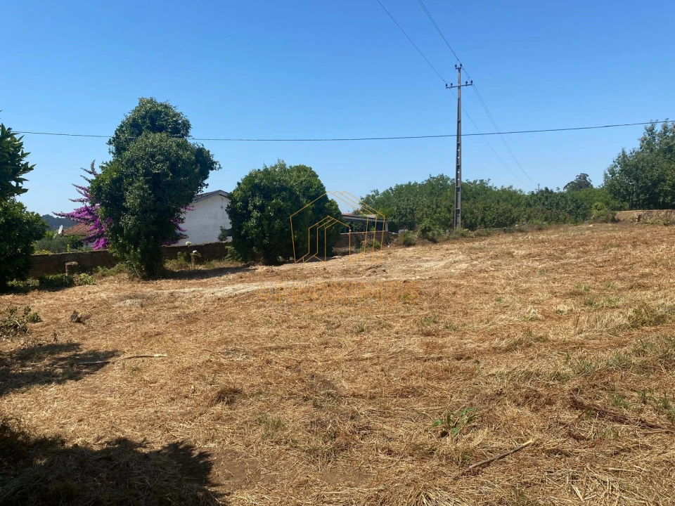 Terreno para Venda em Amoreira da Gândara, Paredes do Bairro e Ancas Foto 11