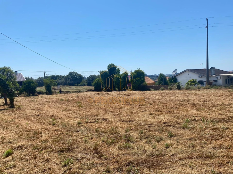 Terreno para Venda em Amoreira da Gândara, Paredes do Bairro e Ancas Foto 8