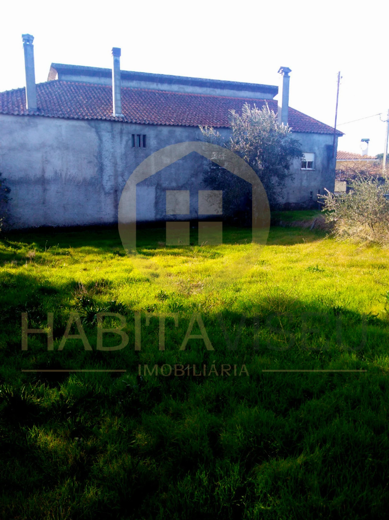 Terreno para Venda em Silvã de Cima Foto 1