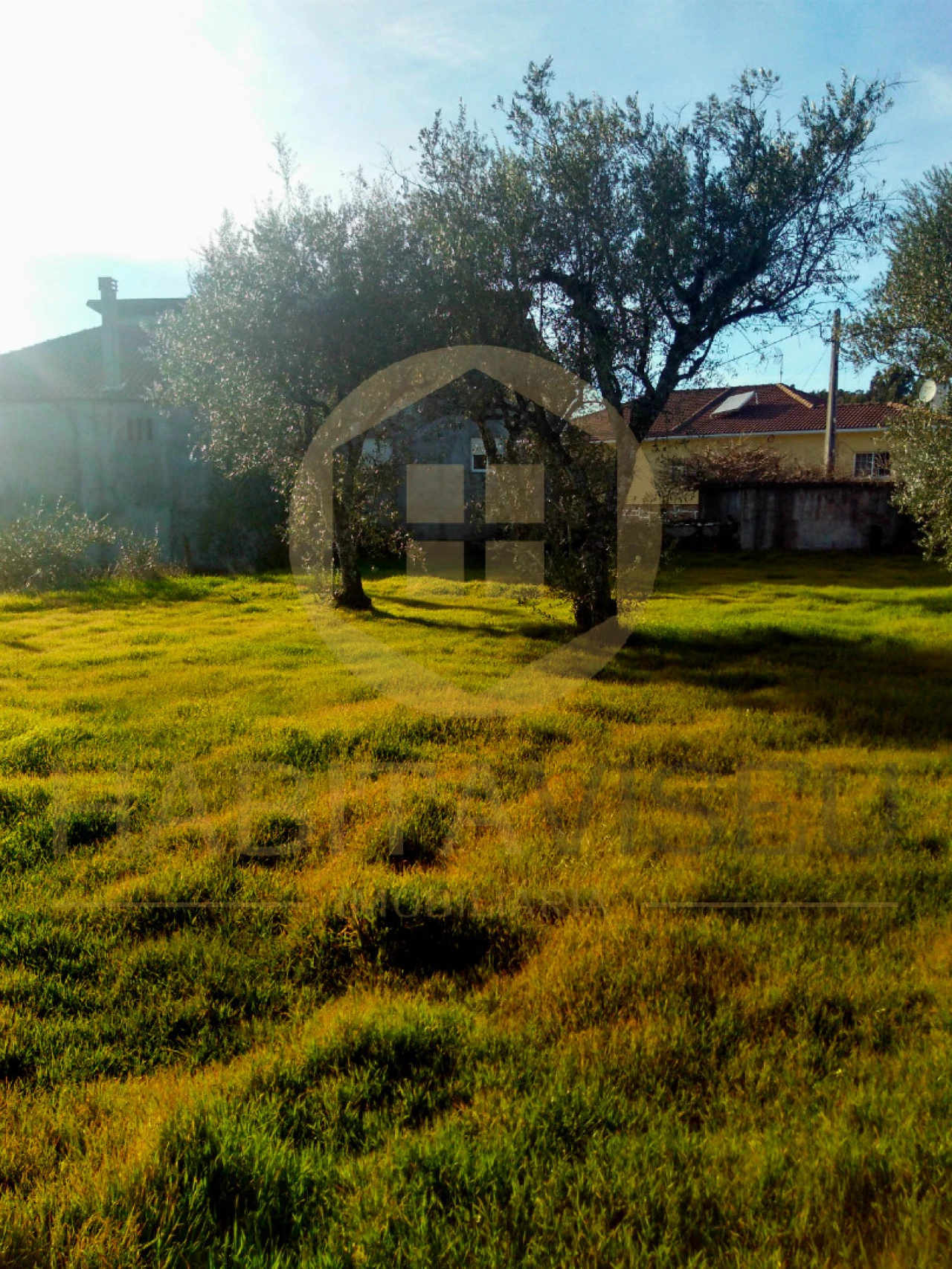 Terreno para Venda em Silvã de Cima Foto 2