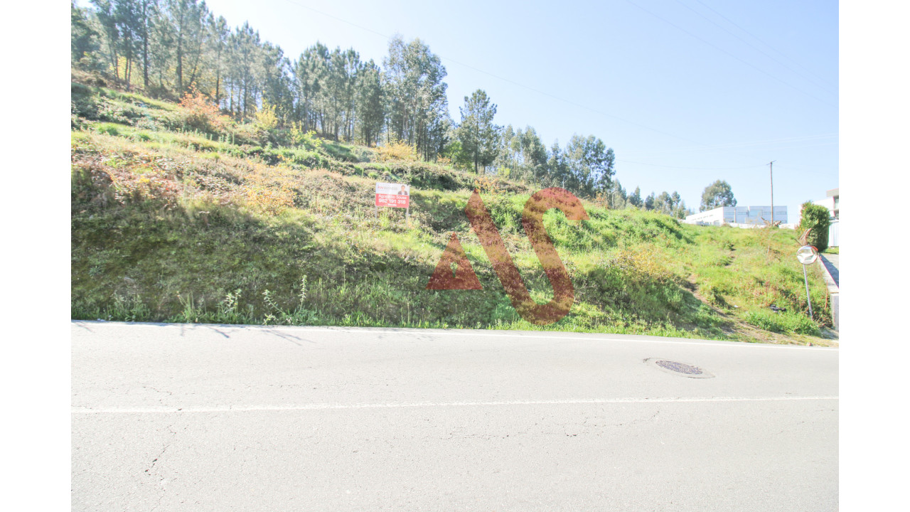 Terreno Agricola ou Rústico para Venda em Santo Adrião de Vizela Foto 4