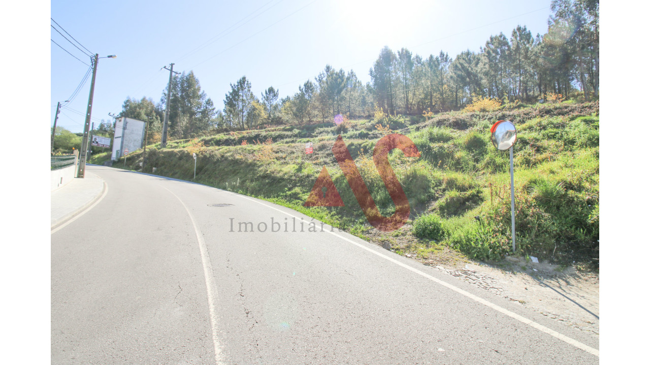 Terreno Agricola ou Rústico para Venda em Santo Adrião de Vizela Foto 12