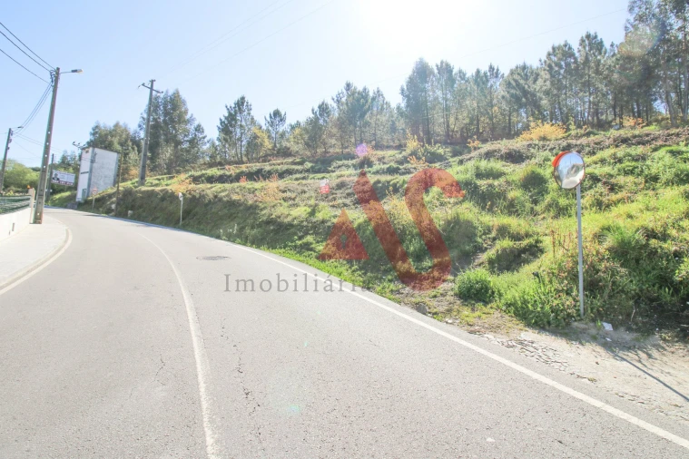 Terreno Agricola ou Rústico para Venda em Santo Adrião de Vizela Foto 12