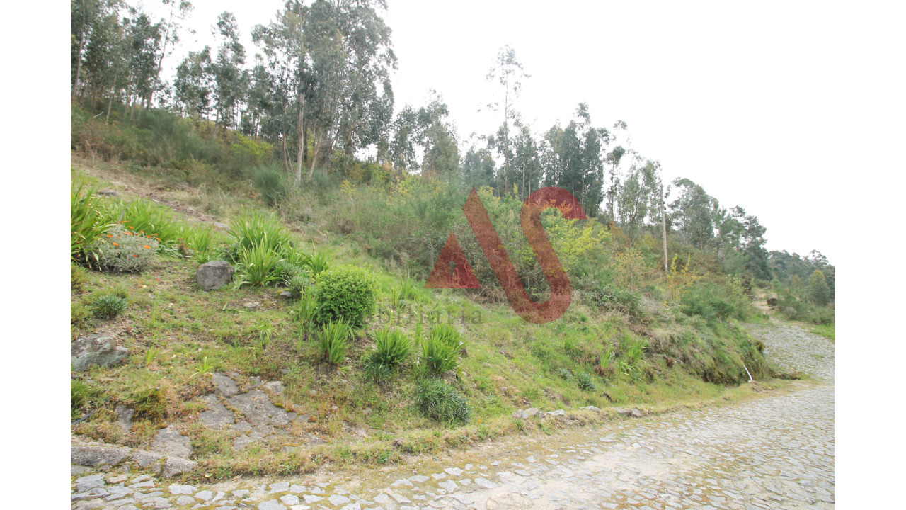 Terreno Agricola ou Rústico para Venda em Santa Eulália Foto 9