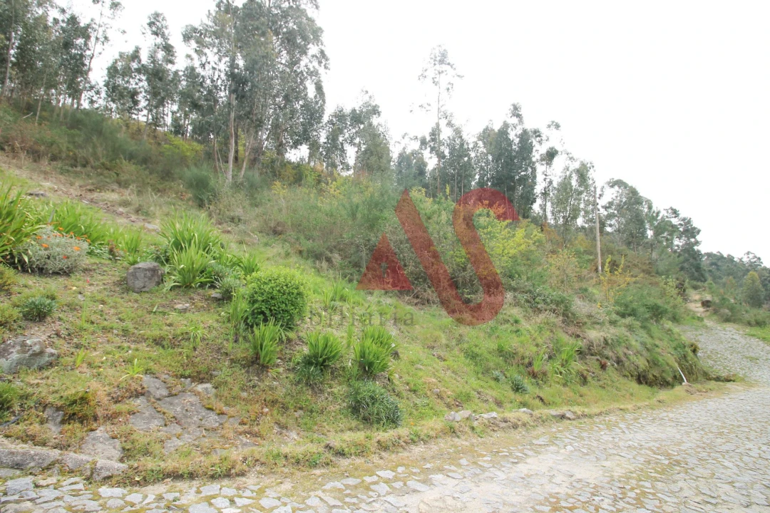 Terreno Agricola ou Rústico para Venda em Santa Eulália Foto 9