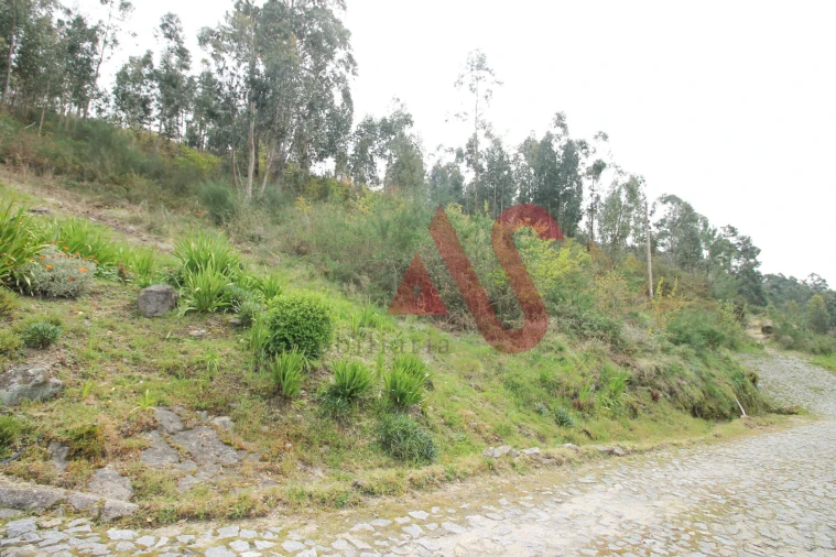 Terreno Agricola ou Rústico para Venda em Santa Eulália Foto 9