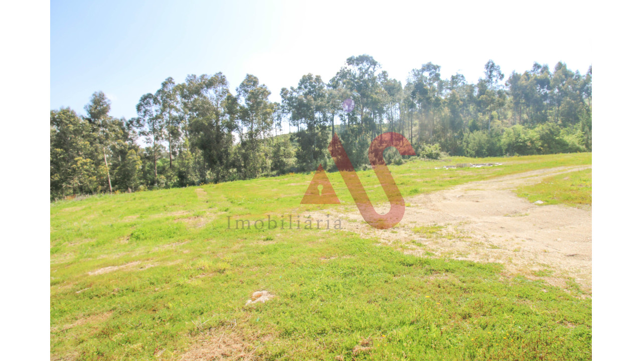 Terreno para Venda em Regilde Foto 9